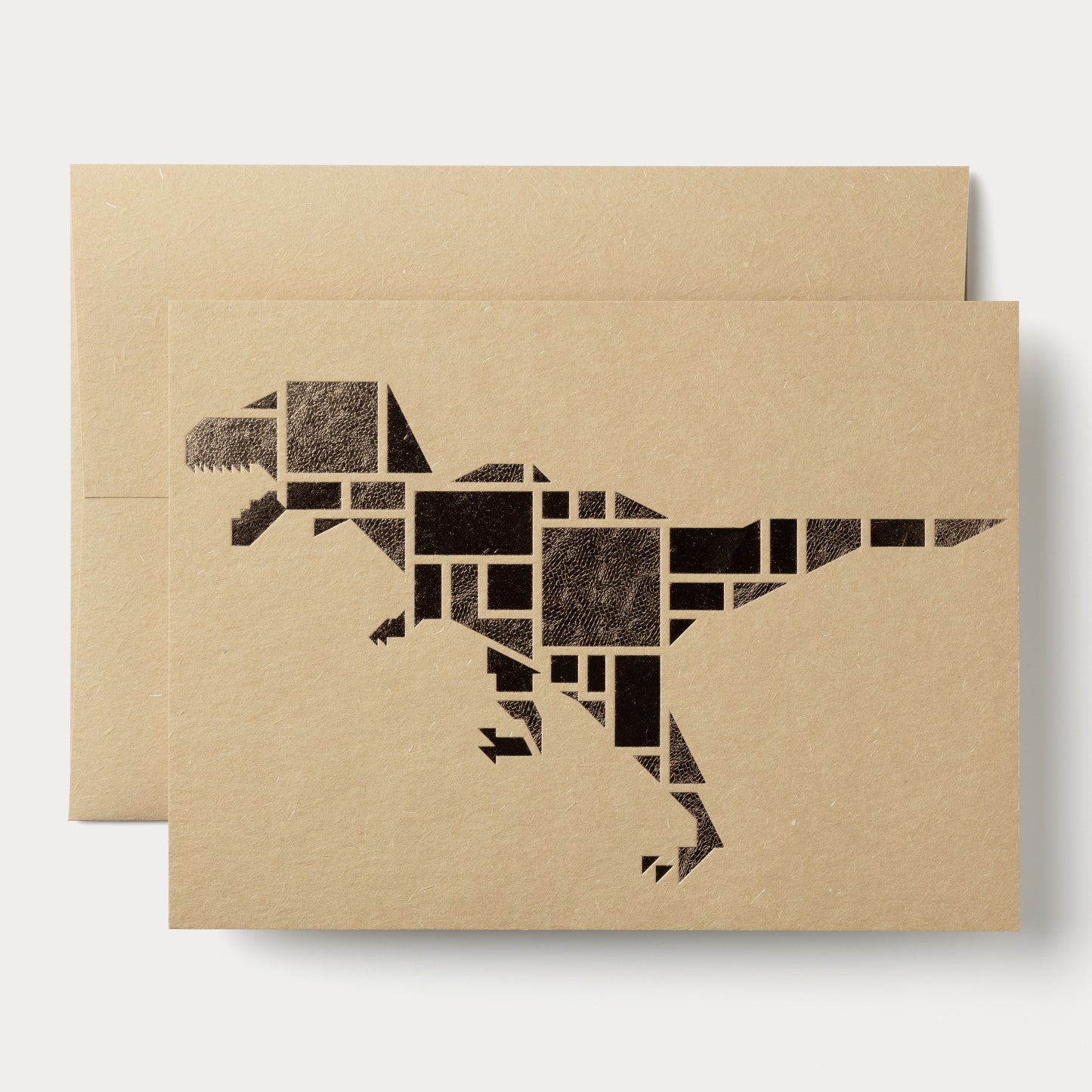 Birds Are Dinosaurs Set