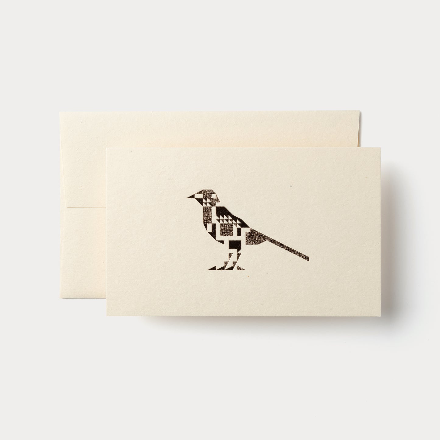 Birds Are Dinosaurs Set