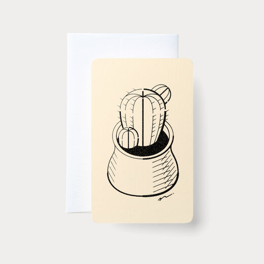 Home Series: Cactus