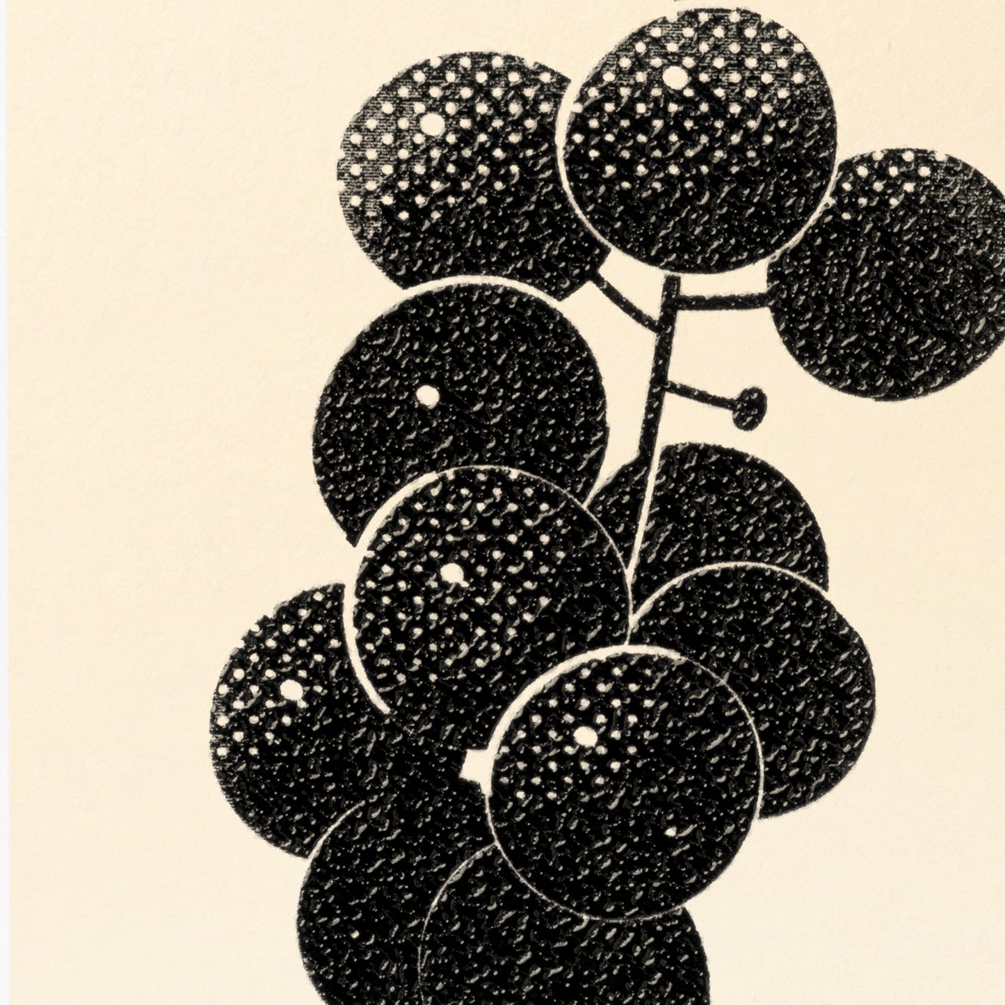 Home Series: Grapes