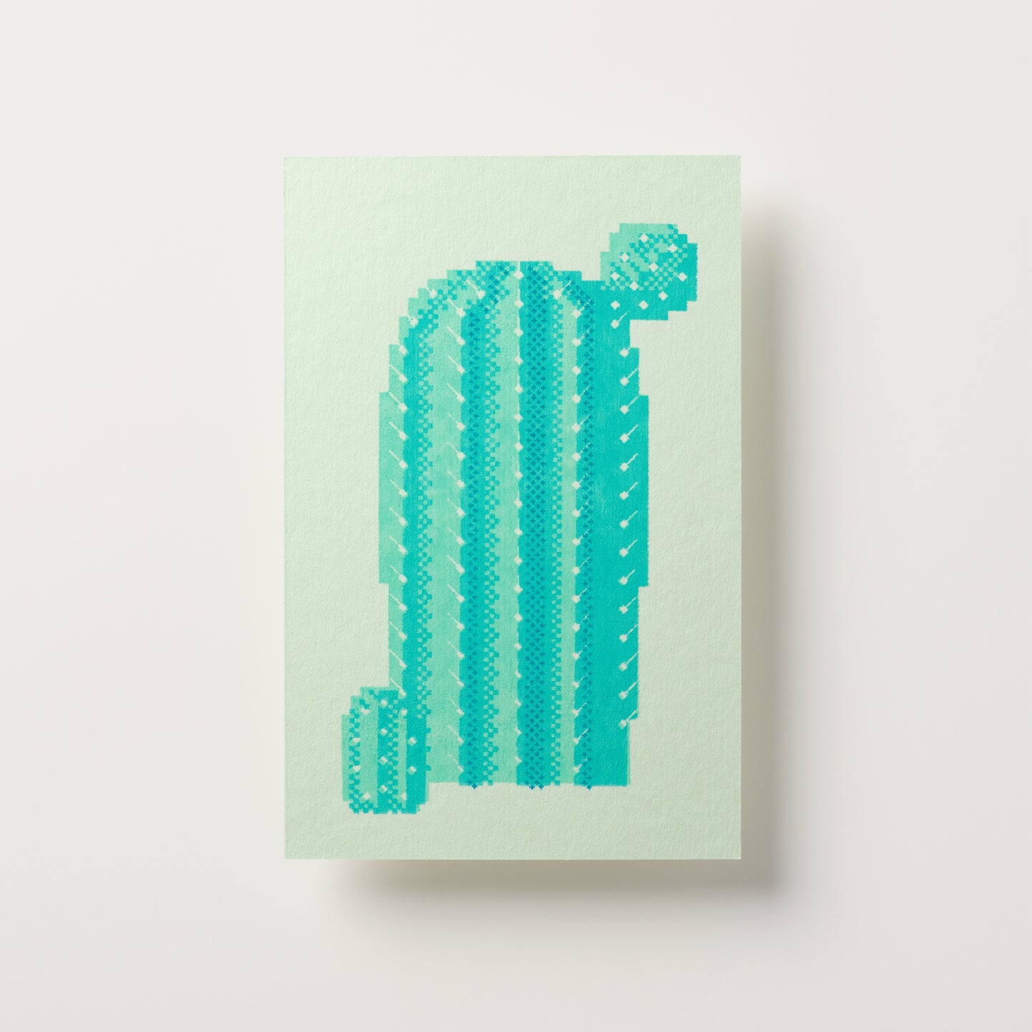 Cactus Postcard