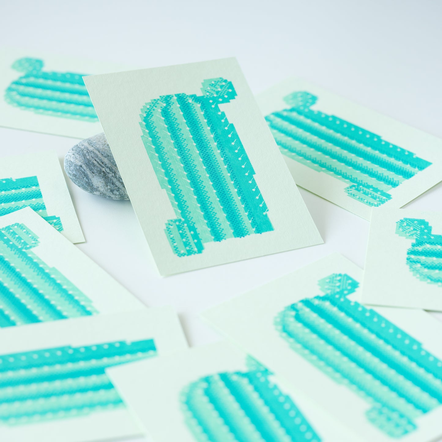 Cactus Postcard