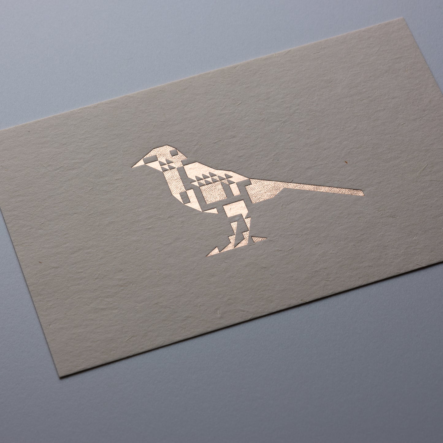 Birds Are Dinosaurs Set