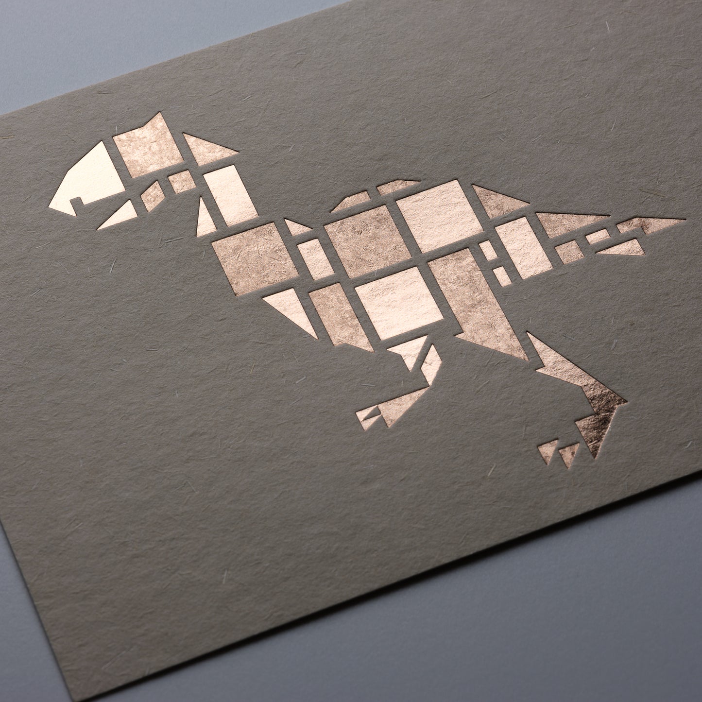 Birds Are Dinosaurs Set
