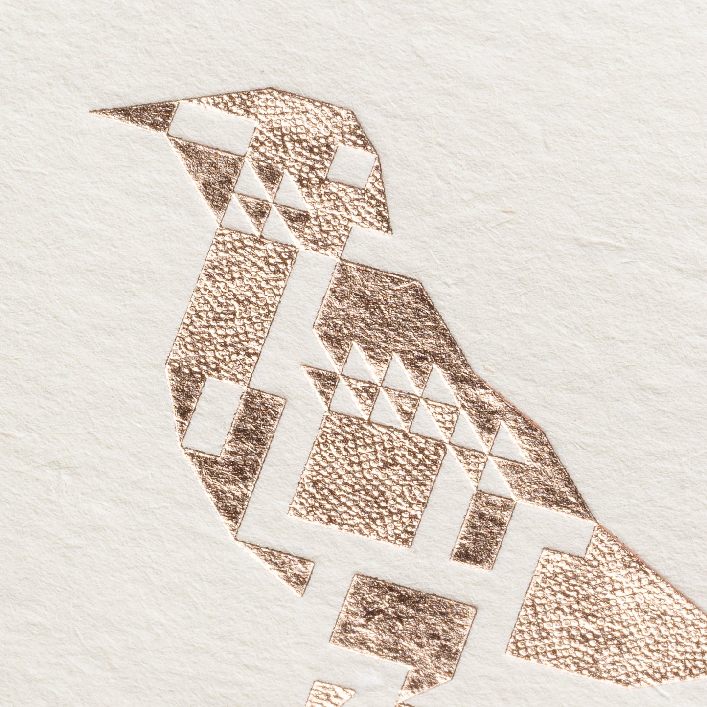 Birds Are Dinosaurs Set